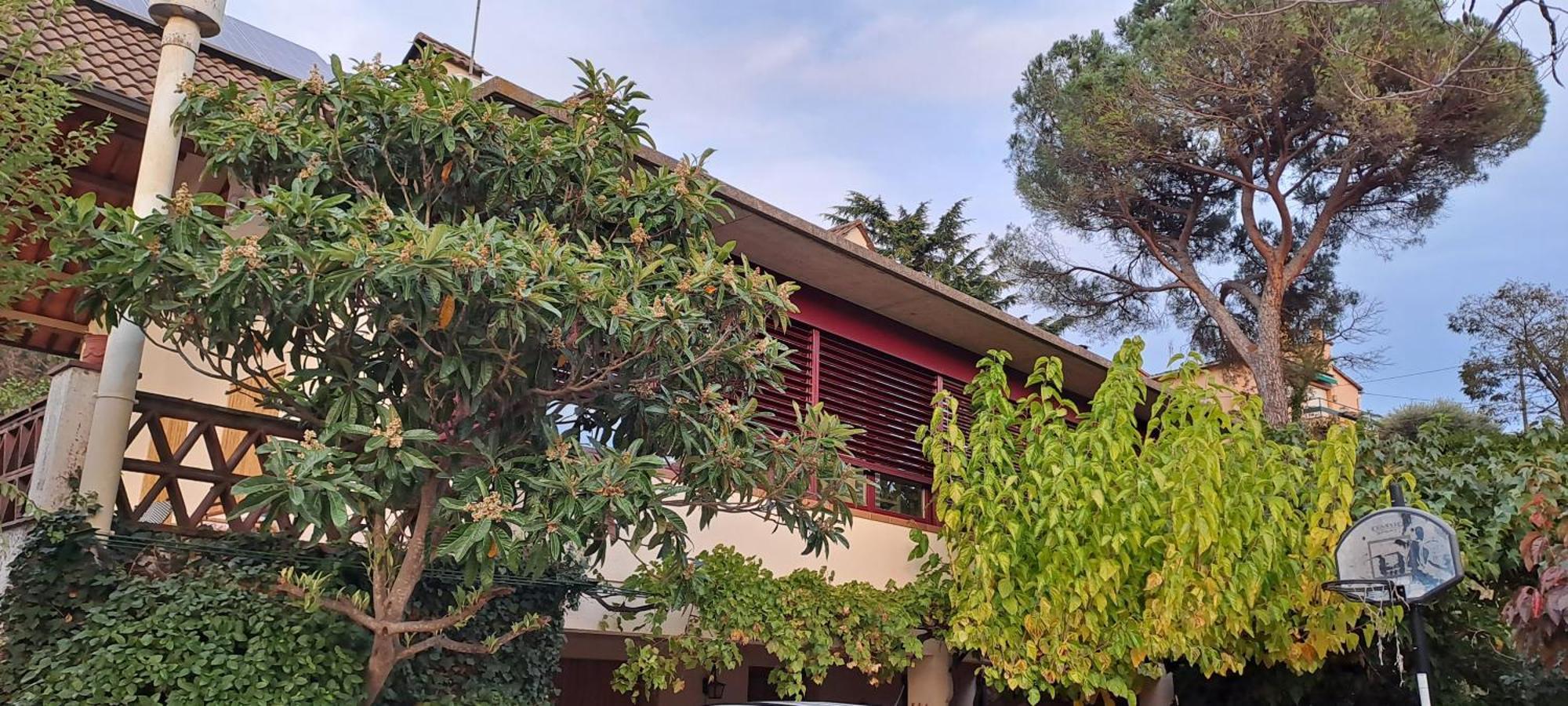 Chalet Entre Parques Naturales Vallgorguina Εξωτερικό φωτογραφία